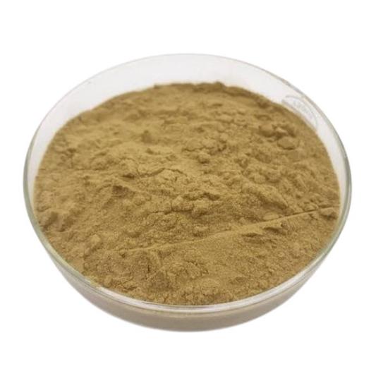 Talimakhana Extract ( Asteracantha Longifolia Extract ) 