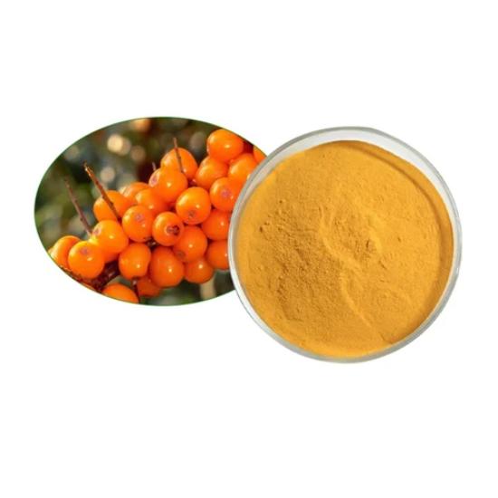 Sea buckthorn Extract ( Hippophae rhamnoides Extract ) 