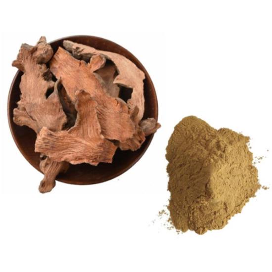 Sarsaparilla Extract (Smilax ornata )