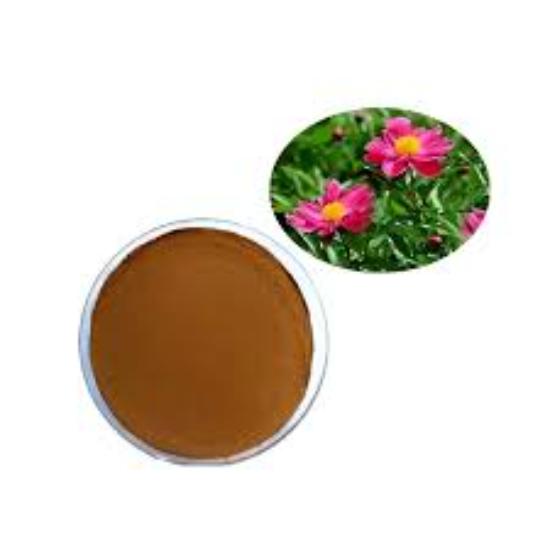 Red Peony Extract ( Paeonia Lactiflora Pall. Extract ) - Grade: Pharma & Food Grade