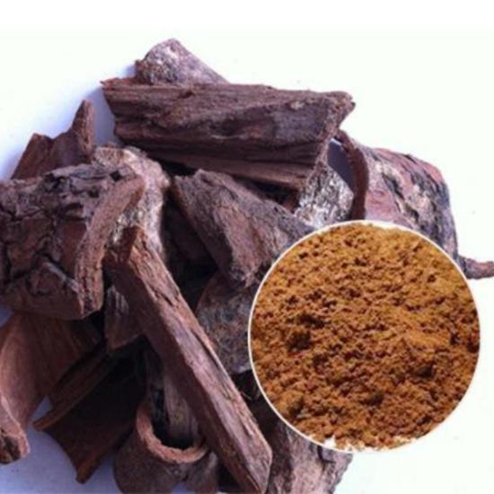 Pygeum Bark Extract (Prunus Africana) 