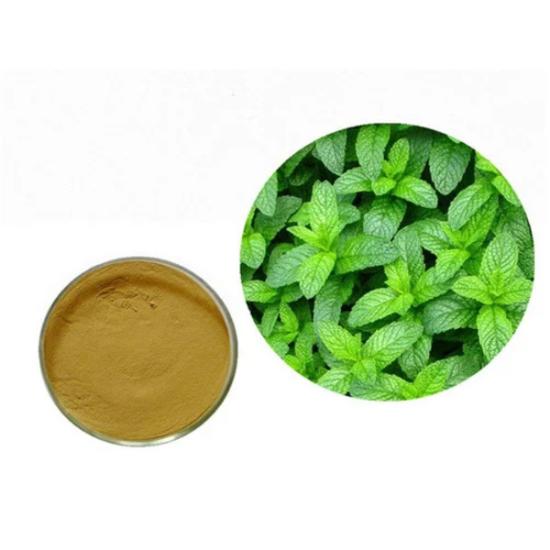 Peppermint Extract - Pure Mentha Piperita, Supports Digestion, Reduces Nausea, Relieves Pain, Enhances Hair Growth, Refreshing Cocktail Ingredient
