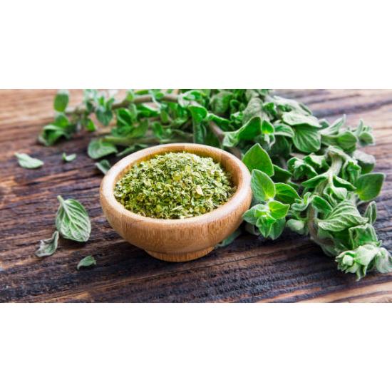 Oregano Extract ( Pleurotus ostreatus Extract )  