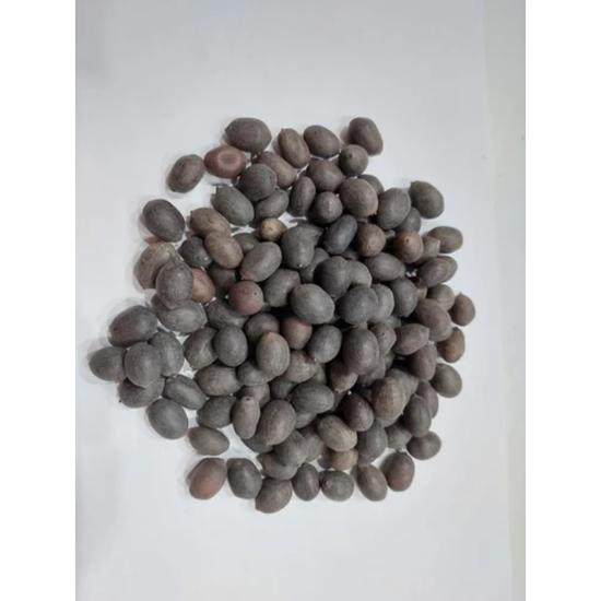 Lotus Seed Extract - Grade: Pharma & Food Grade