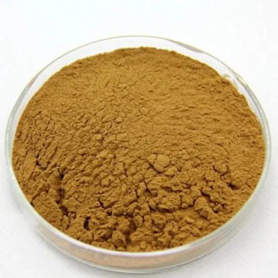 Lotus Leaf Extract ( Folium Nelumbinis Extract )