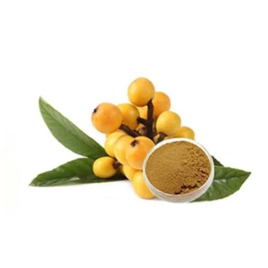 Loquat Leaves Extract ( Eriobotrya Japonica Extract ) - Grade: Pharma & Food Grade