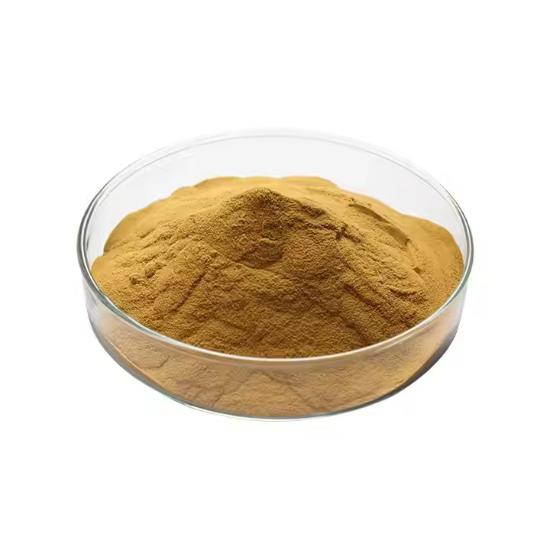 ligusticum wallichii Extract (Ligusticum striatum) 
