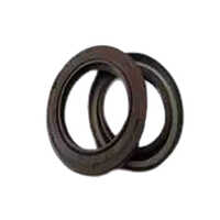 Oil Seal
