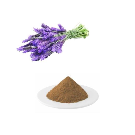 Lavender Extract - Color: Brown