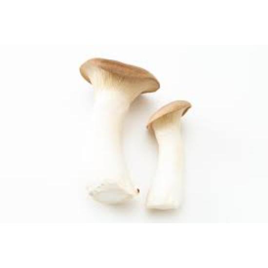 King Trumpet Mushroom Extract (Pleurotus Eryngii )