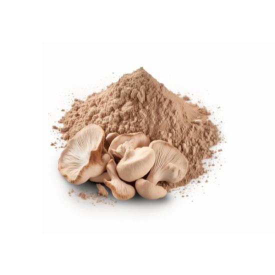 King Trumpet Mushroom Extract (Pleurotus Eryngii )