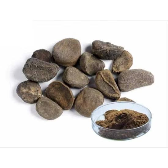Kola Nut Extract (Cola Acuminata)