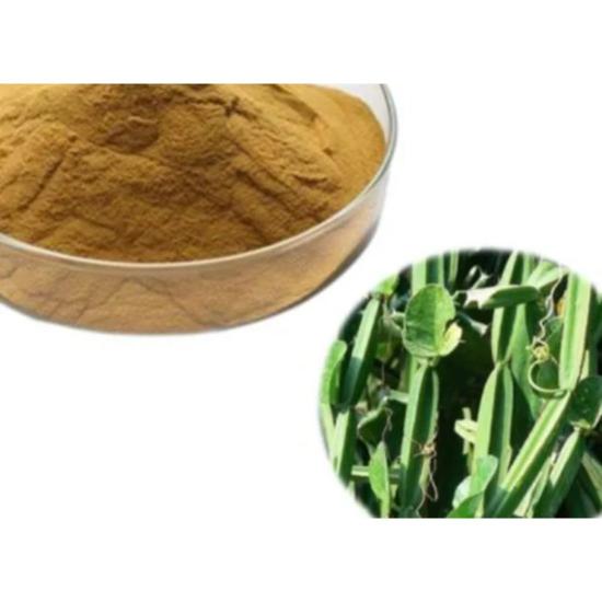 Hadjod Extract (Cissus Quadrangularis)