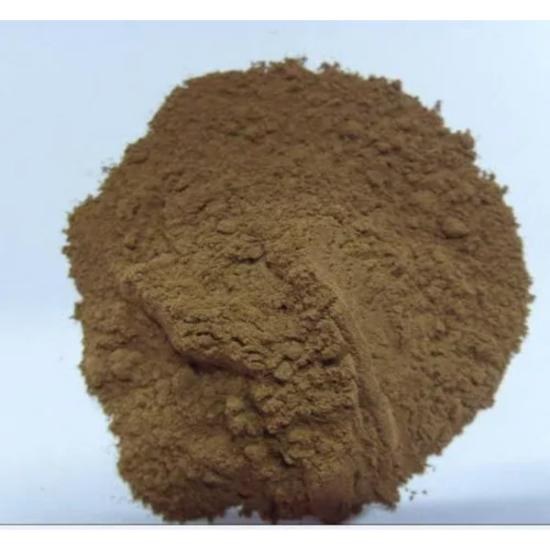 Brown Giant Knotweed Extract (Reynoutria sachalinensis)