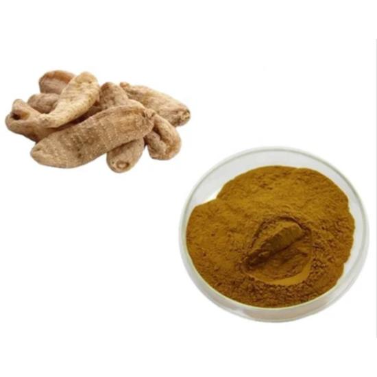 Gastrodia Extract (Gastrodia Elata Extract)