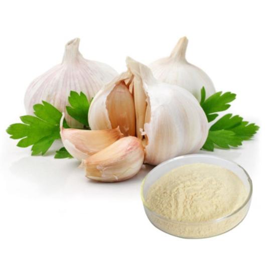 Garlic Extract ( Allium Sativam Extract )