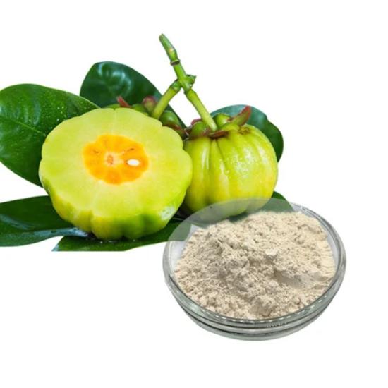 Garcinia Extract ( Garcinia Cambogia Extract )
