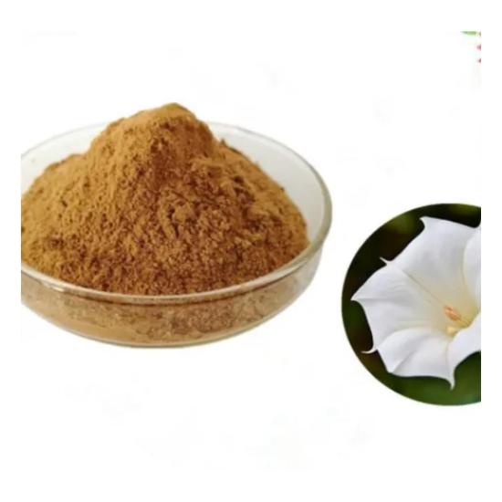 Datura Extract ( Datura Stramonium Extract )