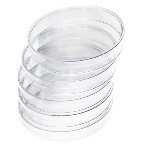 80 Mm Plate Glass Petri Dish - Color: Transparent