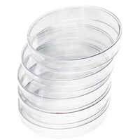 80 Mm Plate Glass Petri Dish - High-quality Plastic, 80mm Diameter, Transparent | Ideal For Cell Cultures And Microbiology Experiments
