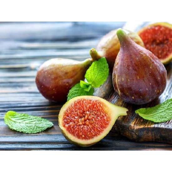 Fig Extract (Ficus Carica L.)