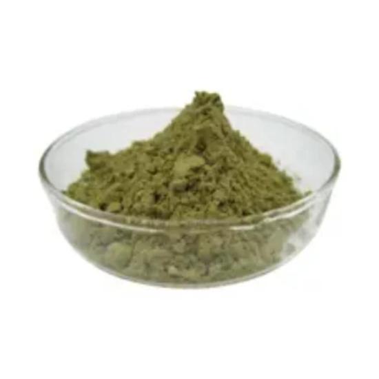 Birthwort Extract ( Aristolochia clematitis Extract )