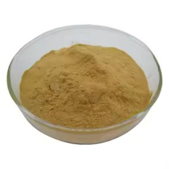 Baicalin Extract ( Baical Skullcap Extract ) 