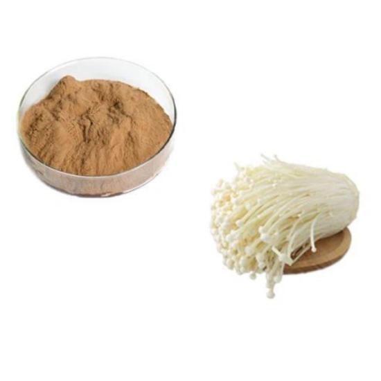 Enoki mushroom Extract (Flammulina velutipes)