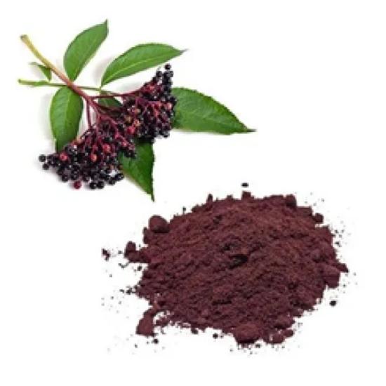 Elderberry Extract (Sambucus Nigra) - Grade: Pharma & Food Grade