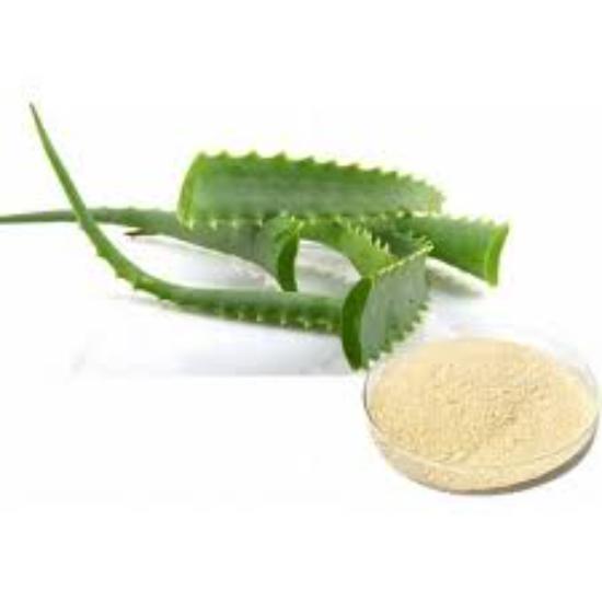 Aloe Vera Extract (Aloe Barbadensis)