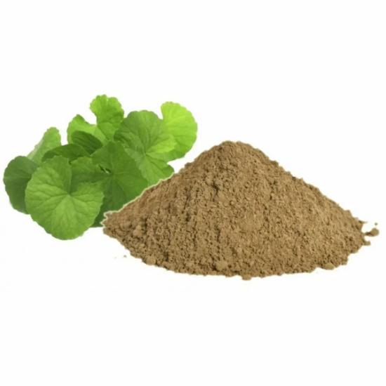 Brahmi Extract ( Bacopa Monnieri extract )