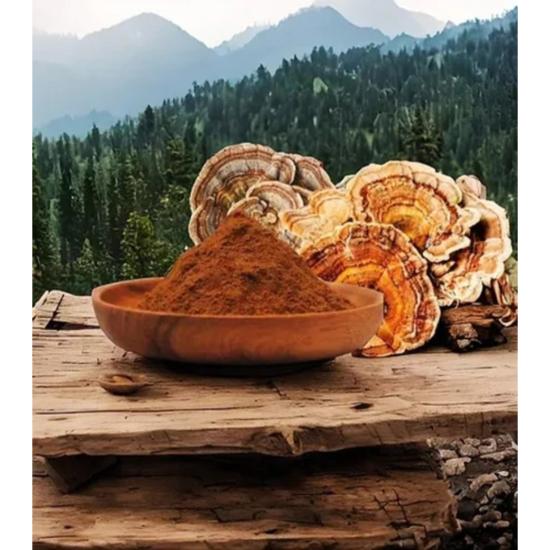 Turkey Tail Mushroom Extract (Trametes Versicolor)