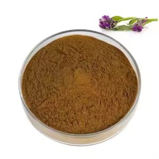 Comfrey  Extract (Symphytum officinale)