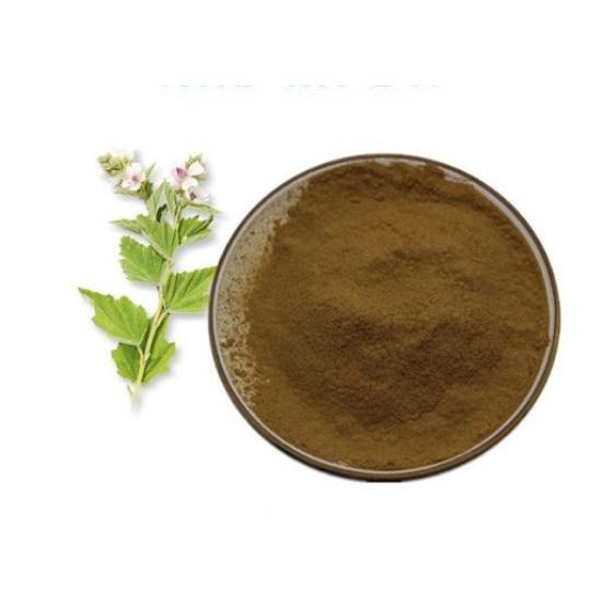 Indian Mallow Extract (Abutilon Indicum)