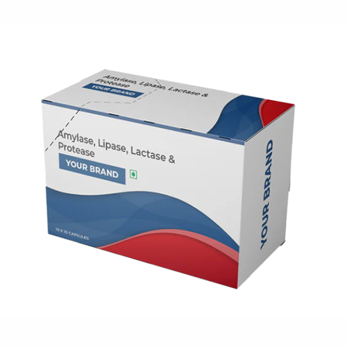 Amylase Lipase Lactase And  Probiotics Capsules - Drug Type: General Medicines