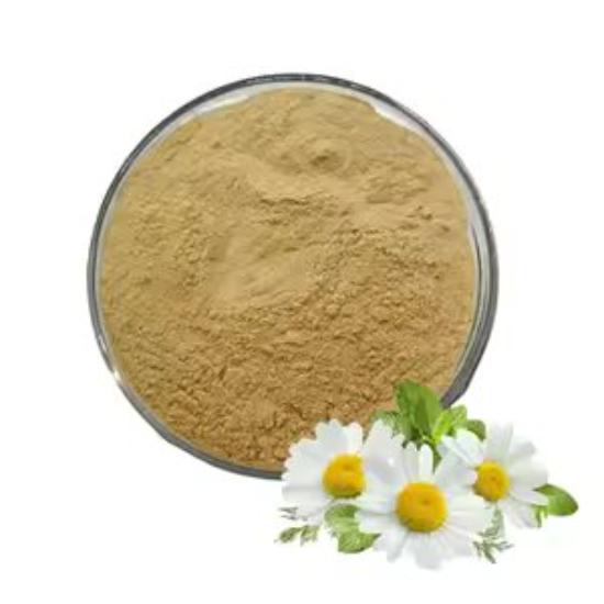 Daisy Flower Extract (Bellis Perennis)