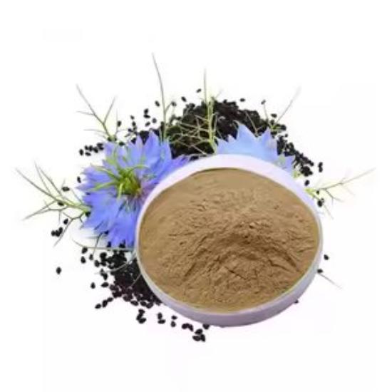 Black Seed Extract (Nigella Sativa Extract)