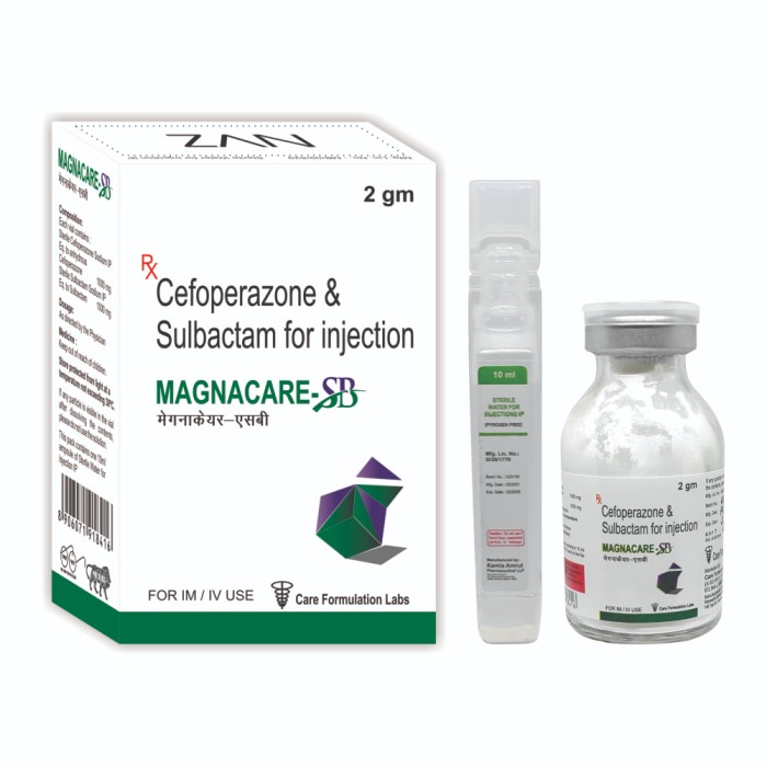 Cefoperazone  & Sulbactum 2gm injection