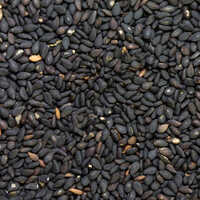 Black Sesame Oil Extract