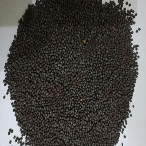 Black Mustard Seeds