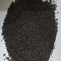 Black Mustard Seeds