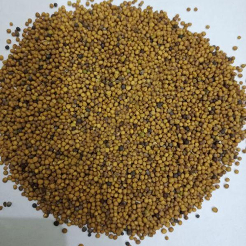 Mustard Seeds