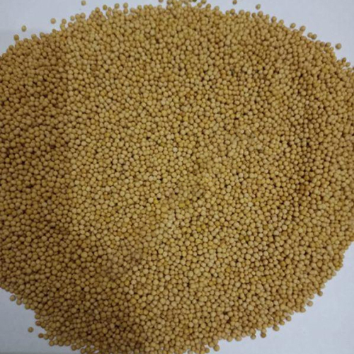 Rajsthan Mustard Seeds