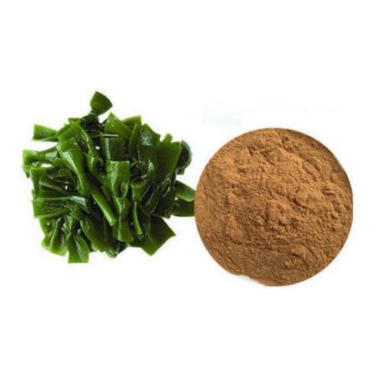 Kelp Extracts ( Seaweed Extract )