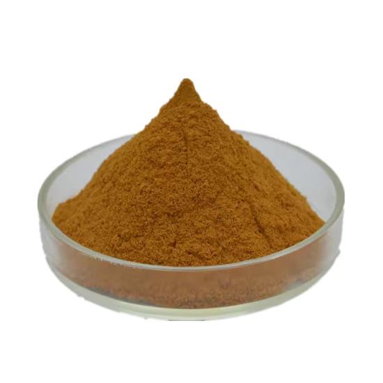 Rehmannia Extract (Rehmannia glutinosa) 