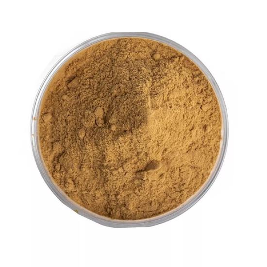 Rhubarb Root Extract ( Rheum Palmatum L. Extract ) 