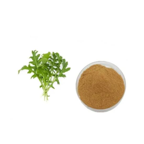 Rocket/Arugula Extract (Eruca Sativa)