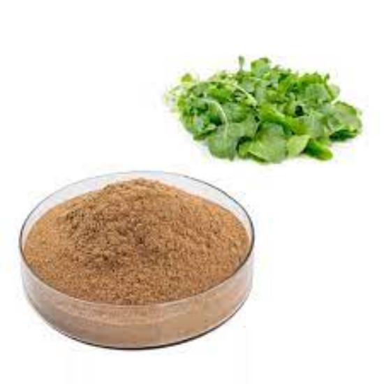 Rocket/Arugula Extract (Eruca Sativa)