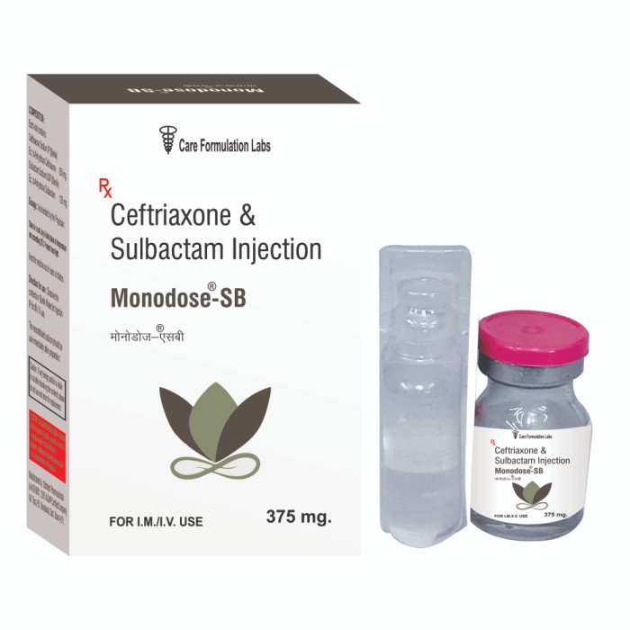 Ceftriaxone Sodium I.P. (Sterile) eq. to Anhydrous Ceftriaxone 250MG Sulbactam Sodium 125 MG & Sterile Water for injection I.P 5 ml. elsewhere and packed with in this combi - pack Injection