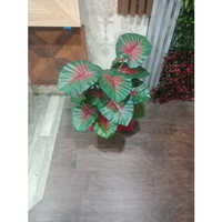 Red Leaves Plant - High-quality Plastic Material, Antique Finish Pot With Customizable Designs